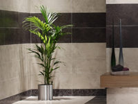 Potted Plant