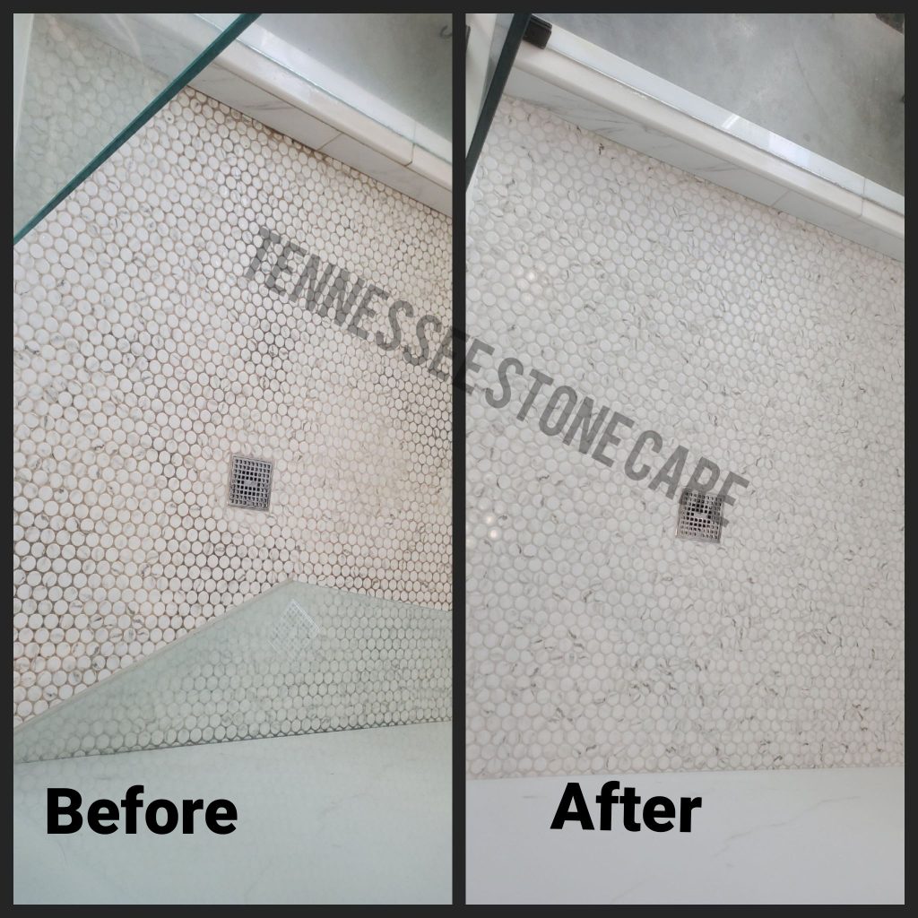 Eliminating Black and Red Mold from a Penny Tile Shower Floor